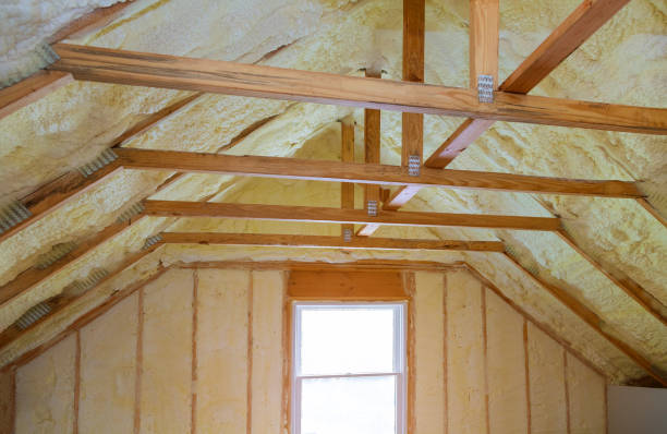 Best Residential Insulation in Lyman, MS