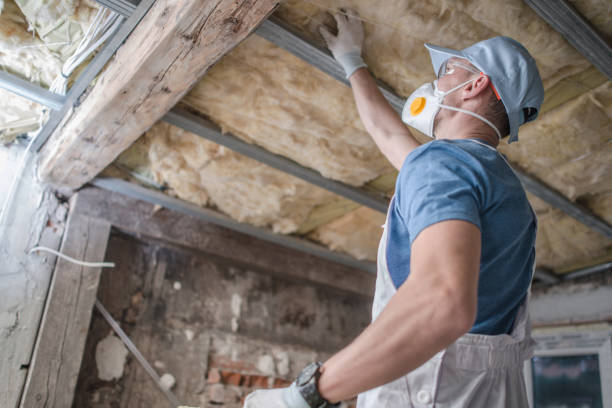 Best Insulation for Specific Applications in Lyman, MS