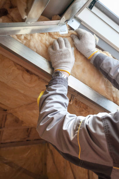 Best Insulation Maintenance and Repair in Lyman, MS