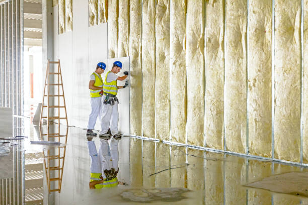 Best Types of Insulation in Lyman, MS